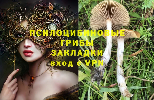 ПСИЛОЦИБИНОВЫЕ ГРИБЫ Белоозёрский