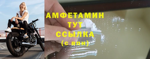 ПСИЛОЦИБИНОВЫЕ ГРИБЫ Богданович