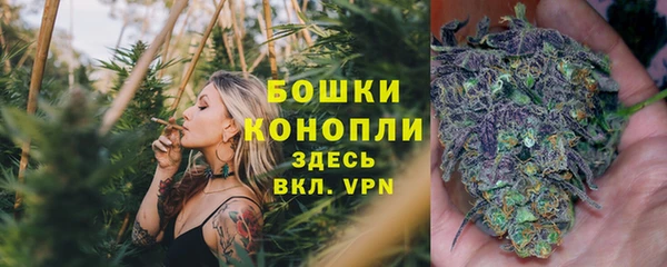 амф Белокуриха