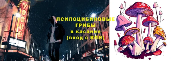 ПСИЛОЦИБИНОВЫЕ ГРИБЫ Белоозёрский
