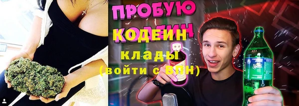 ПСИЛОЦИБИНОВЫЕ ГРИБЫ Богданович