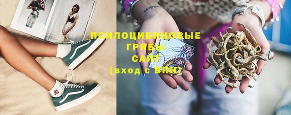 ПСИЛОЦИБИНОВЫЕ ГРИБЫ Богданович