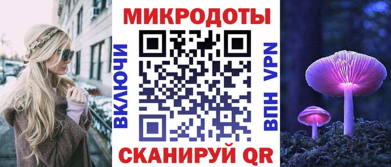 где купить   Красноармейск  Галлюциногенные грибы MAGIC MUSHROOMS 